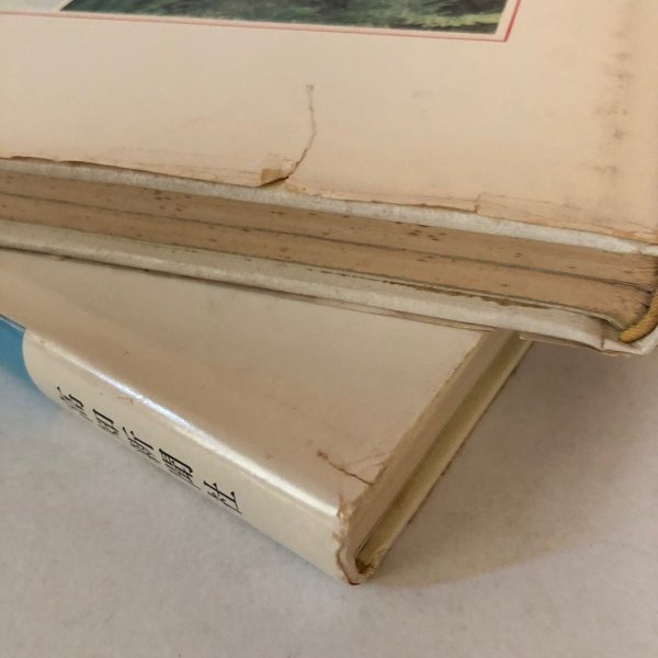 画像9: 四国のみち 中島暁 高知新聞社 上・下 2冊セット 昭和56年 香川県 (9)