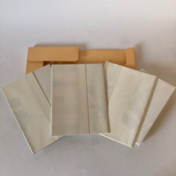 画像9: 新編 埼玉県史 通史編1 原始・古代 埼玉県 昭和62年 埼玉県 (9)