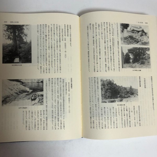 画像6: 琴南町誌 昭和61年 琴南町 琴南町誌編集委員会 香川県 (6)
