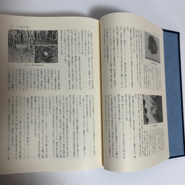 画像7: 琴南町誌 昭和61年 琴南町 琴南町誌編集委員会 香川県 (7)