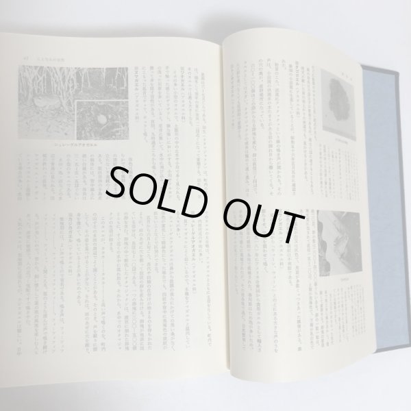画像7: 琴南町誌 昭和61年 琴南町 琴南町誌編集委員会 香川県 (7)
