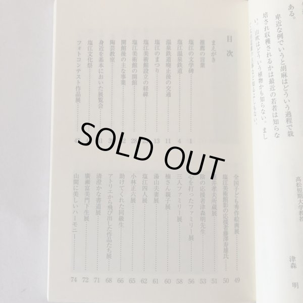 画像4: 20世紀塩江の記録 パート2 藤沢秋義 2005年 香川県 (4)