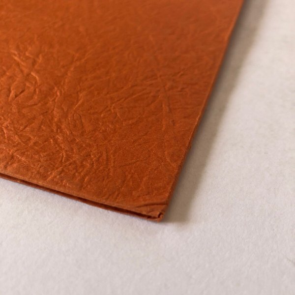 画像8: 金毘羅参詣街道絵図 金毘羅絵図を守る会 安藤広重  (8)