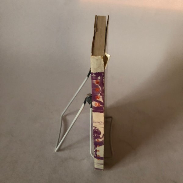 画像3: 北京夜話 妹尾勝美 香川県 (3)