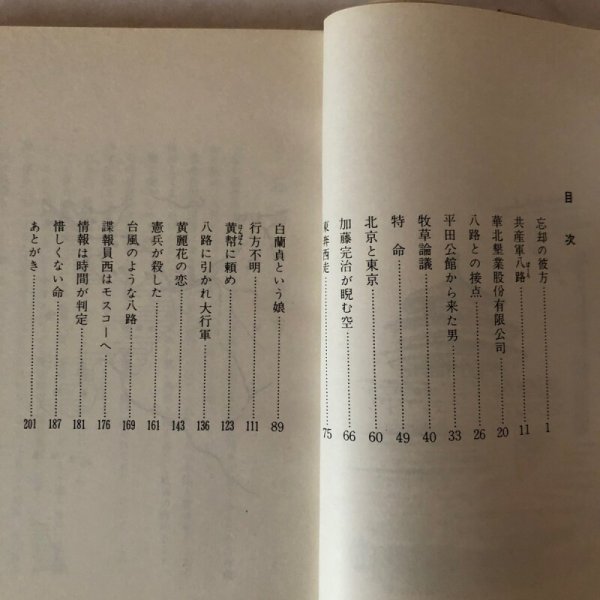 画像4: 北京夜話 妹尾勝美 香川県 (4)