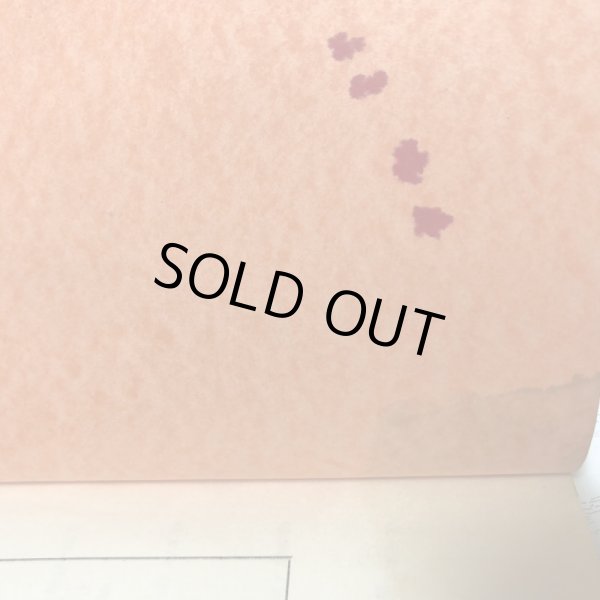 画像7: 新・記者ハンドブック手引き 昭和44年版 四国新聞社 河内敏治 昭和44年  (7)