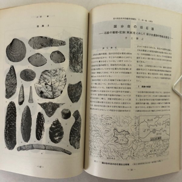 画像8: 香川県自然科学館研究報告 第1巻 1979年 香川県自然科学館 香川県 (8)