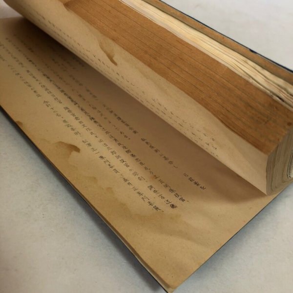 画像15: 四国八十八箇所を中心とする文化財（香川県）文化財保護委員会 昭和40年 香川県 (15)