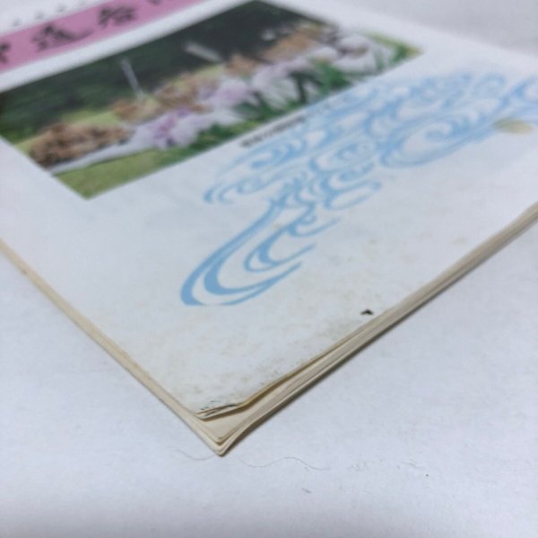 画像12: 神道香川 第250号 教化委員会広報部 香川県神社庁 平成17年 香川県 (12)