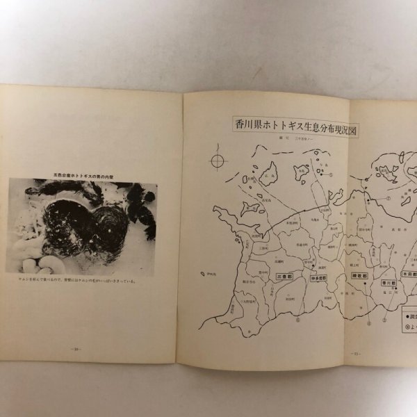 画像6: 県民鳥 ホトトギス 香川県環境保健部自然保護課 香川県 (6)