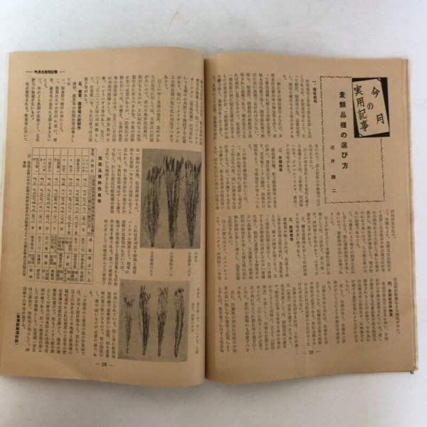 画像6: 農業香川 第9巻 第10号 河原清 香川県農業改良普及会 昭和32年 香川県 (6)