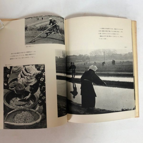 画像7: 田の神 芳賀日出男 昭和34年 下中邦彦　 (7)