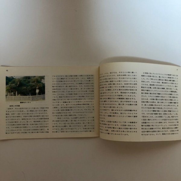 画像8: さぬきの自然の旅 小豆島の自然 昭和51年 香川県自然保護課 香川県 (8)