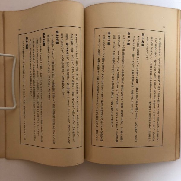 画像6: 讃岐郷土玩具考 加藤増夫 昭和7年 石原留吉 香川県 (6)