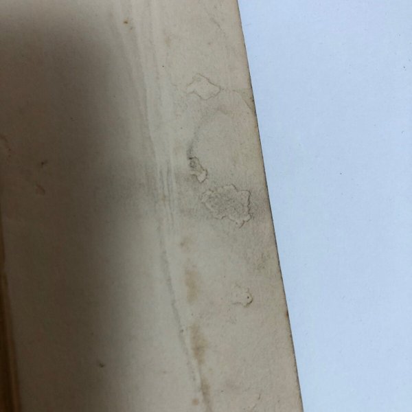 画像9:  香川県美術史 福家惣衛 昭和25年 香川県 (9)