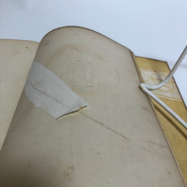 画像10: 十人写生旅行 瀬戸内海 小豆島 小杉未 鹿島長次郎 小杉未醒 明治44年 香川県　 (10)