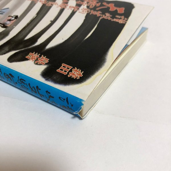 画像8: 讃岐生駒家騒動覚え書抄 1993年 森田泉 永田敏之 香川県 (8)