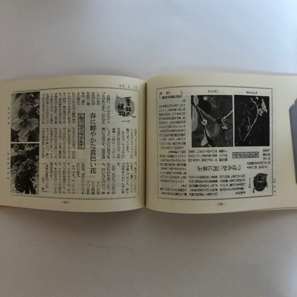 画像5: 栗林の植物 朝の栗林公園を散歩する会 平成2年 香川県 (5)