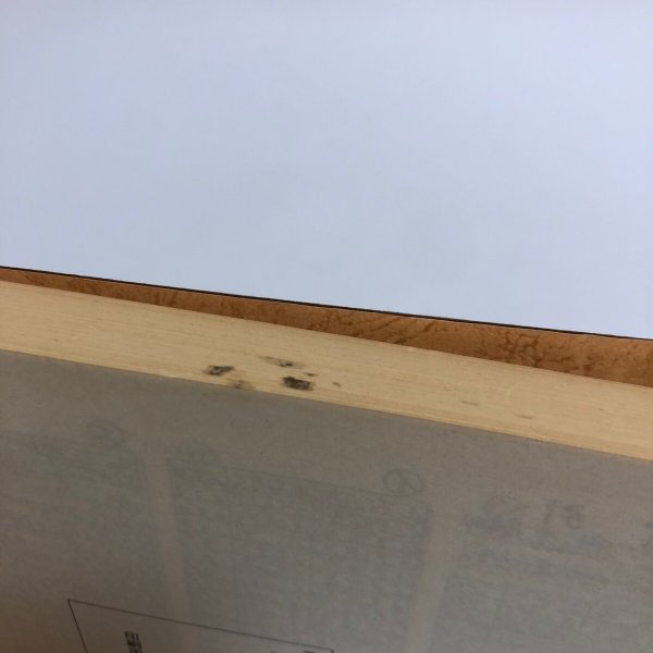 画像7: 栗林の植物 朝の栗林公園を散歩する会 平成2年 香川県 (7)