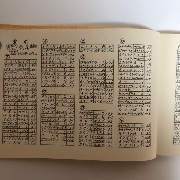 画像4: 栗林の植物 朝の栗林公園を散歩する会 平成2年 香川県 (4)