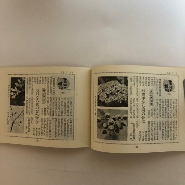 画像6: 栗林の植物 朝の栗林公園を散歩する会 平成2年 香川県 (6)