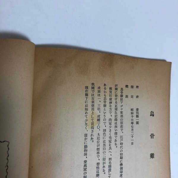 画像10: 史跡名活天然記念物調査報告 第14香川県史跡名勝天然記念物調査書 昭和25年 香川県教育委員会 香川県　 (10)