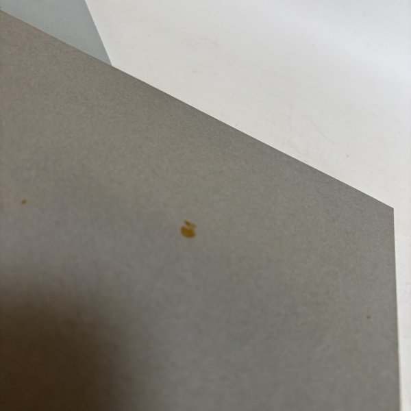 画像9: 太田儔 蒟醬  2008年 高松市美術館  高橋章 香川県 (9)