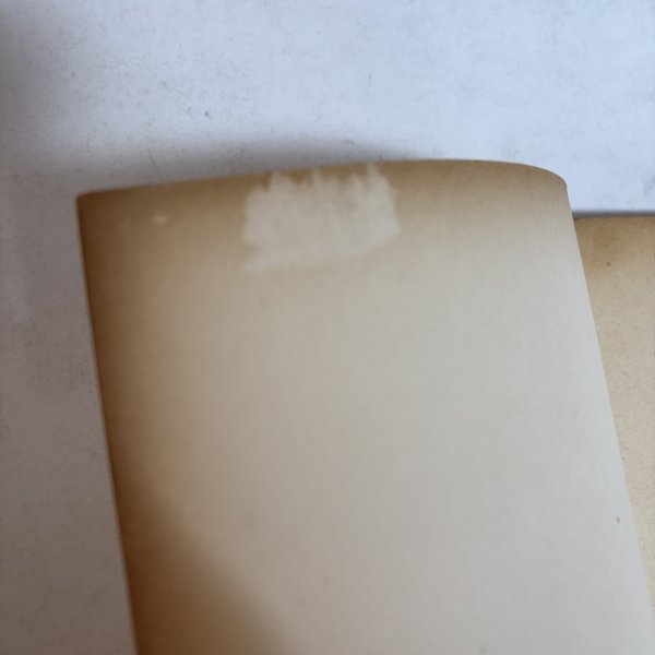 画像9: 瀬戸内海研究 第11号 1958年 藤井駿 岡山市津島 (9)