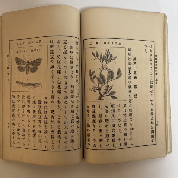 画像6: 新編 農業教科書 上・下巻  2冊セツト 大正元年 私立岡山県教育会 合資会社六盟館 岡山県 (6)