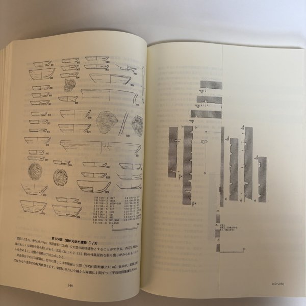 画像9: 空港跡地遺跡IV 空港跡地整備事業に伴う埋蔵文化財発掘調査報告 第4冊 2000年 香川県教育委員会 財団法人香川県埋蔵文化財調査センター 香川県 (9)