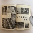 画像5: 文化高松 高松市市制百周年記念号 第12号 1990年 高松市文化協会 高松文化協会常任理事会 香川県  (5)