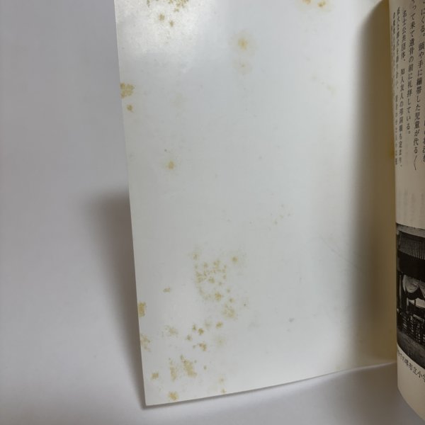 画像4: 室戸台風の尊い犠牲　栗山先生（三宝小訓導）を偲ぶ (4)