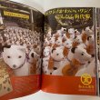 画像7: ことひら こんぴらさん 海の聖域展 大特集号 64 2009年 金刀比羅宮 (7)