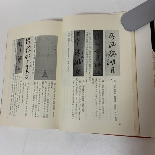 画像6: 聖僧 竹林上人 菰渕覚次 毎日新聞社 昭和54年1979年 (6)