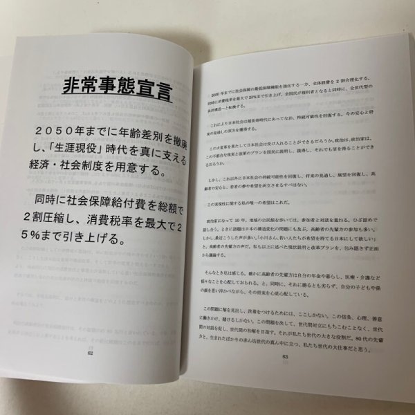 画像6: 2050年 次世代のための 日本改革原案 たたき台（初稿） 政治活動10周年記念 日本の構造問題に本気で取り組む 2014年 衆議院議員 小川淳也 (6)