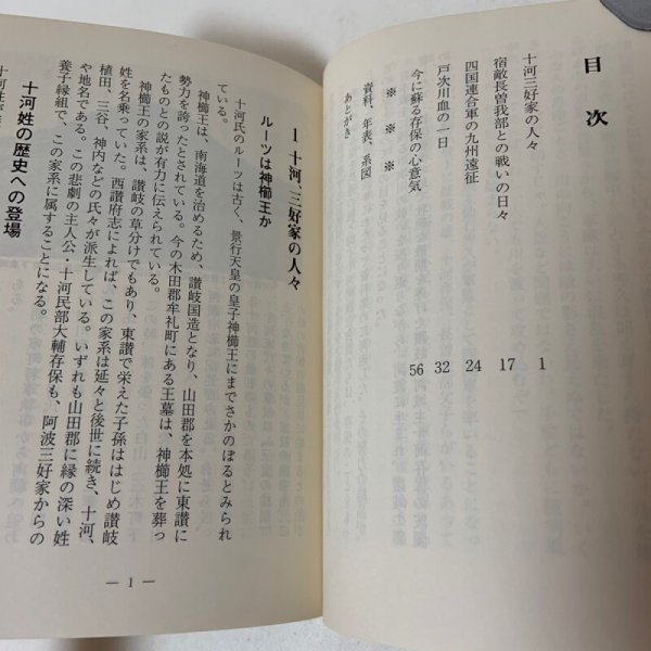 画像4: 戦国悲話 戸次川物語 十河同族会  (4)
