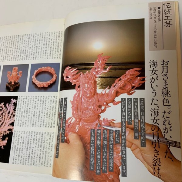 画像5: 高知県の物産  (5)