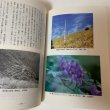 画像8: 親子三代笹ヶ峰物語 安森滋 1996年 (8)
