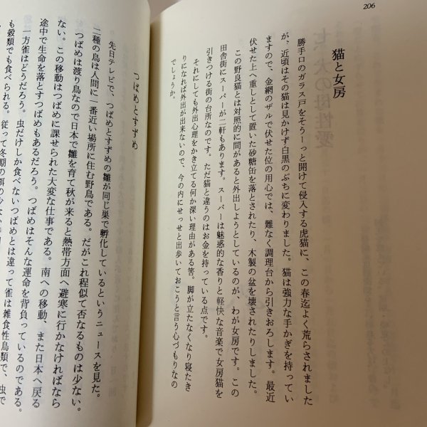 画像11: 照ったり曇ったり 田中貴一 平成元年 (11)