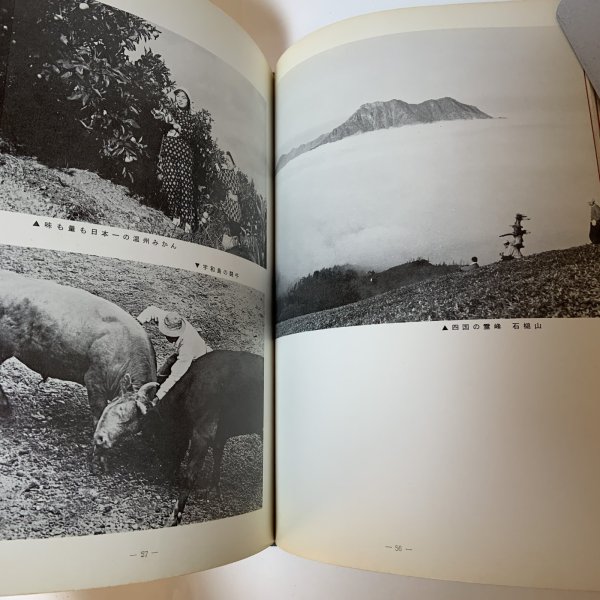 画像4: 四国洋服業者名鑑 1968 (4)