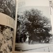 画像10: 写真集 明治 大正 昭和 神宮・熊野 ふるさとの想い出 木田泰夫 国書刊行会 昭和55年 (10)