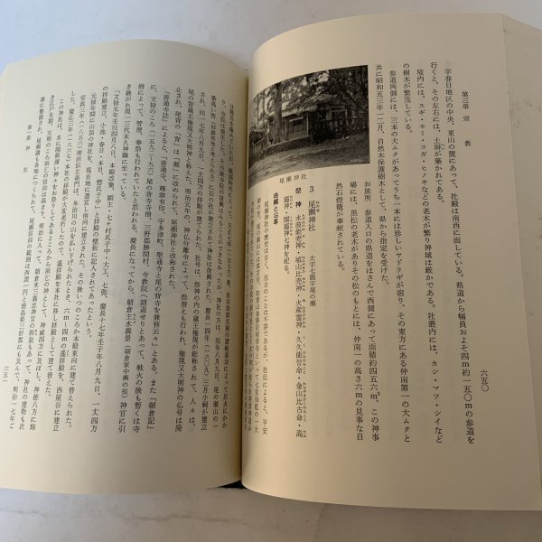 画像5: 仲南町誌 仲南町誌編集委員会 仲南町 1982年 (5)