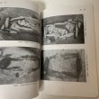 画像8: 仙遊遺跡発掘調査報告書 旧練兵場遺跡 仙遊I地区 1986年3月 善通寺市文化財保護協会 (8)