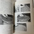 画像8: 土風呂 四国郷土研究会叢書 第4号 荒木計雄 昭和56年 1981年 (8)