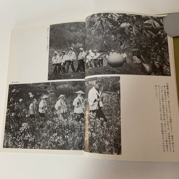 画像6: 小豆島の四季 松島正喜記者写真集 朝日新聞高松支局同人会 昭和60年 1985年 (6)