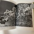 画像7: 小豆島の四季 松島正喜記者写真集 朝日新聞高松支局同人会 昭和60年 1985年 (7)