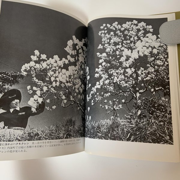 画像7: 小豆島の四季 松島正喜記者写真集 朝日新聞高松支局同人会 昭和60年 1985年 (7)