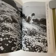 画像8: 小豆島の四季 松島正喜記者写真集 朝日新聞高松支局同人会 昭和60年 1985年 (8)
