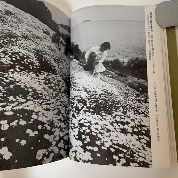 画像8: 小豆島の四季 松島正喜記者写真集 朝日新聞高松支局同人会 昭和60年 1985年 (8)