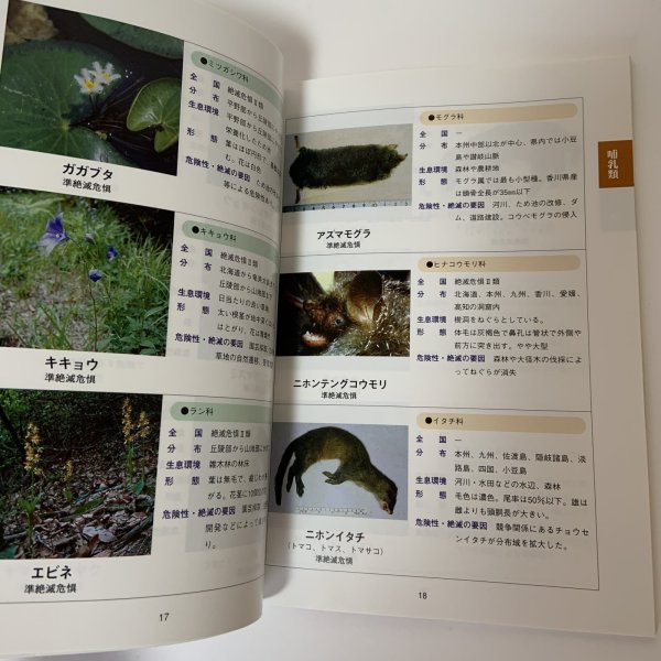 画像4: 香川県レッドデータブック 香川県の希少野生生物 普及版 2004 香川県環境森林部 みどり保全課 2006年 平成18年 (4)
